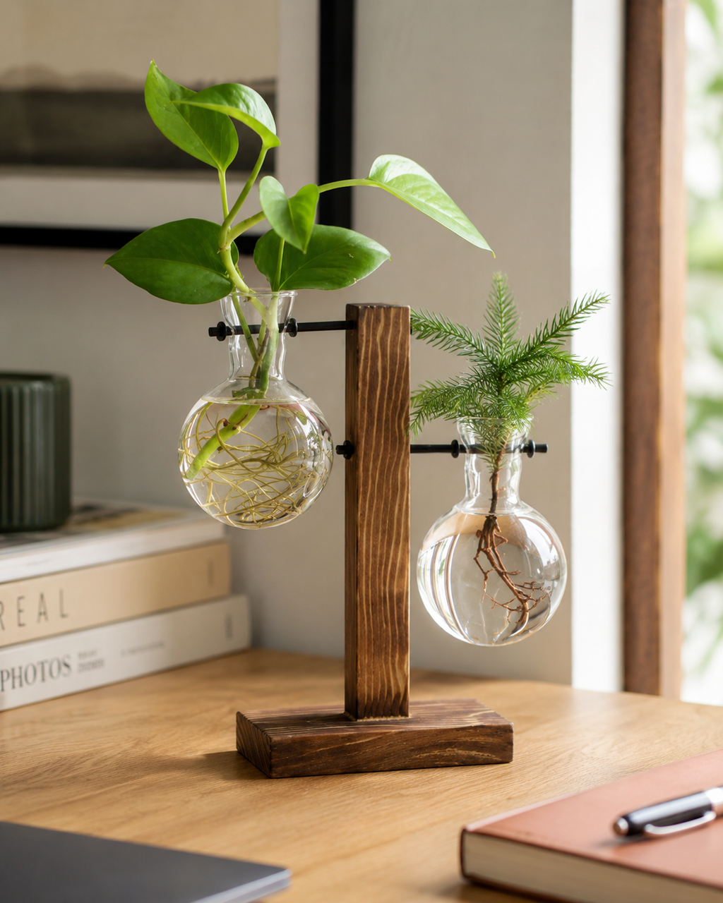 Glass Bulb Vase – Hydroponic Flower Vase with Wooden Stand for Home Decor