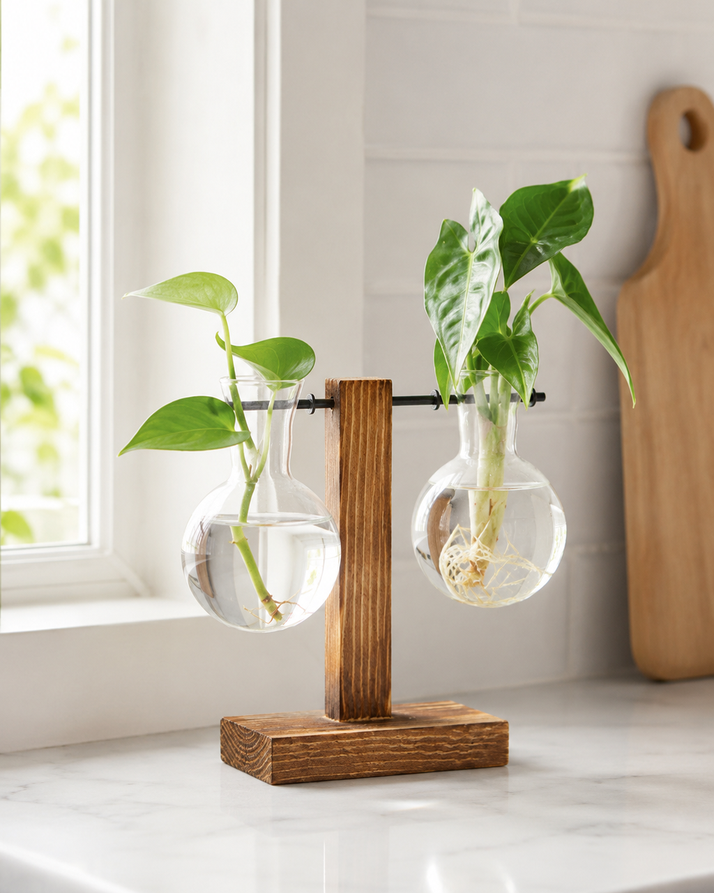 Glass Bulb Vase – Hydroponic Flower Vase with Wooden Stand for Home Decor