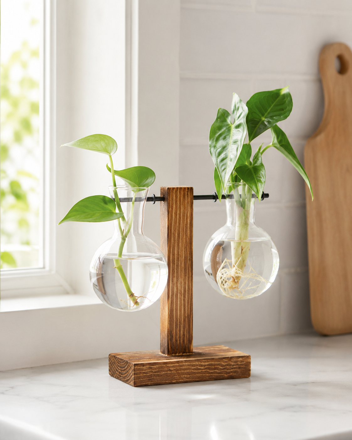 Glass Bulb Vase with Wooden Stand
