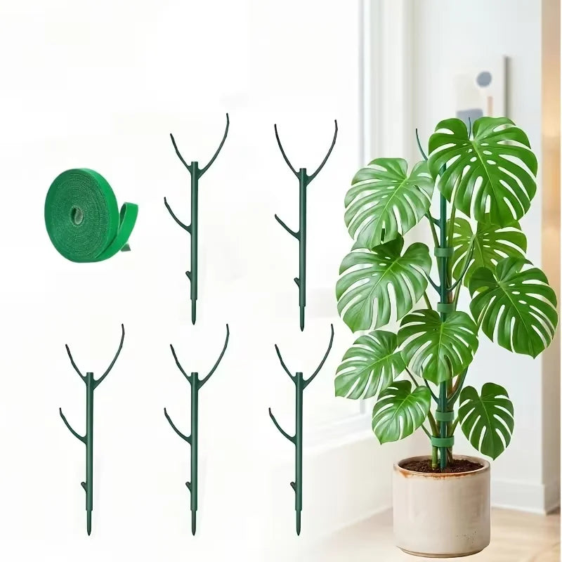 Monstera Plant Support Stakes – Stackable Climbing Poles for Indoor & Outdoor Plants, 1/2-Pack, Green