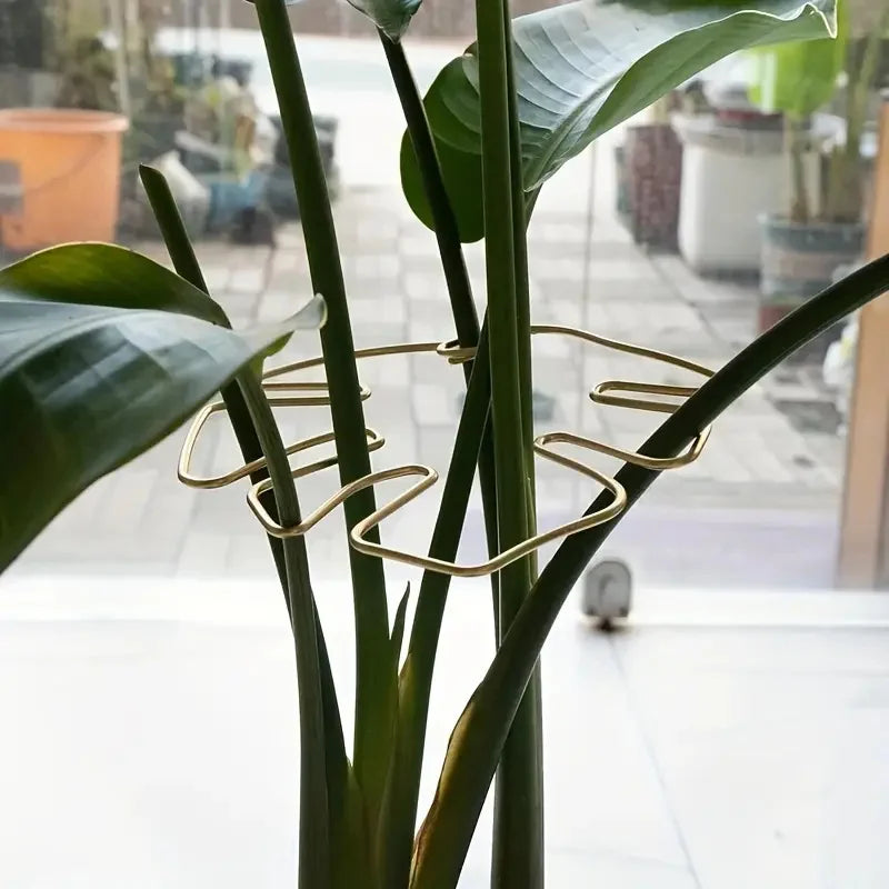 Hanging Plant Stand