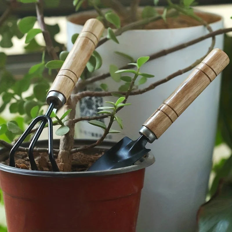 Garden Tool Set – Mini Gardening Kit with Rake, Trowel & Shovel for Succulents