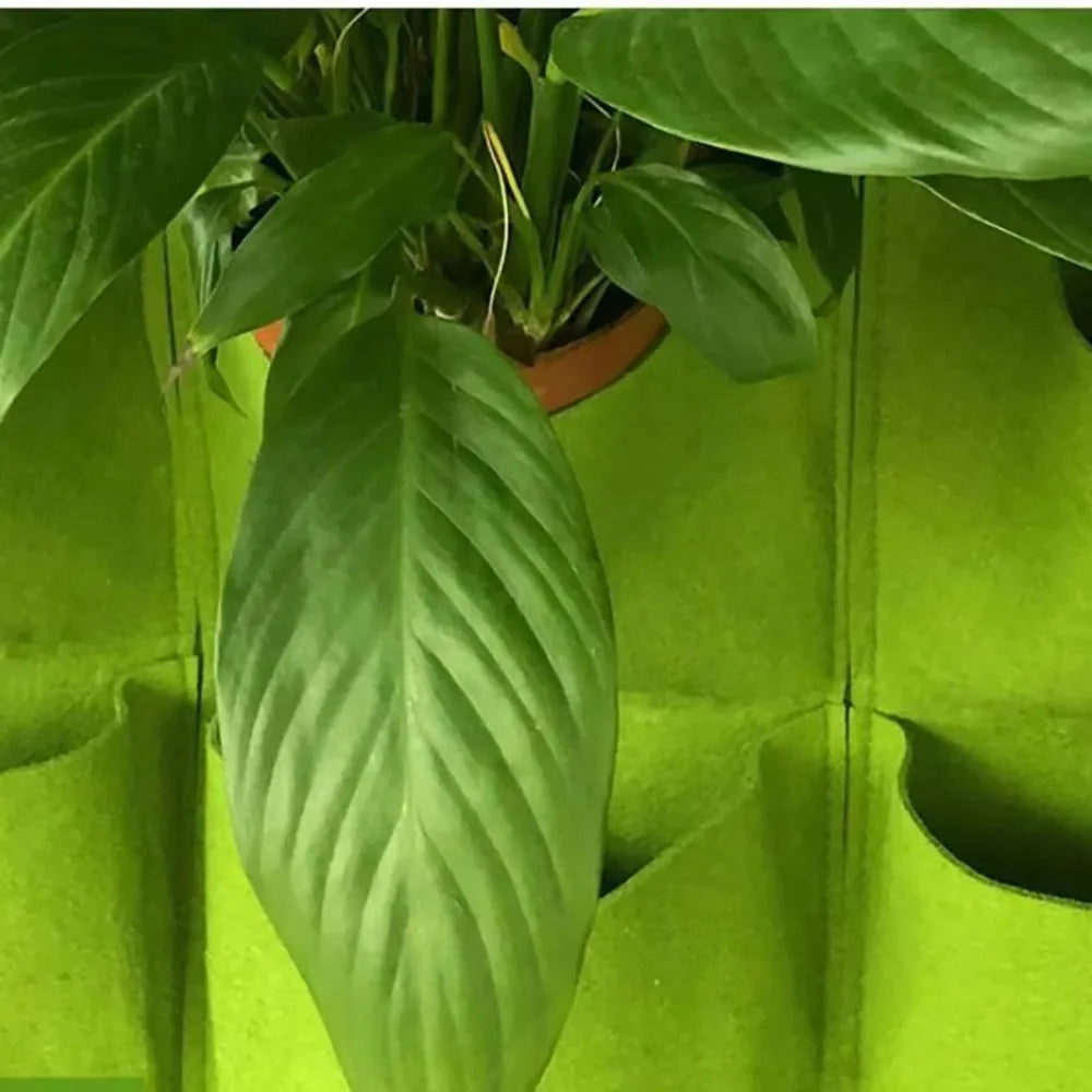 Vertical Garden Planter – Wall-Mounted Hanging Grow Bag, 9/12/25/36 Pockets, Green/Black