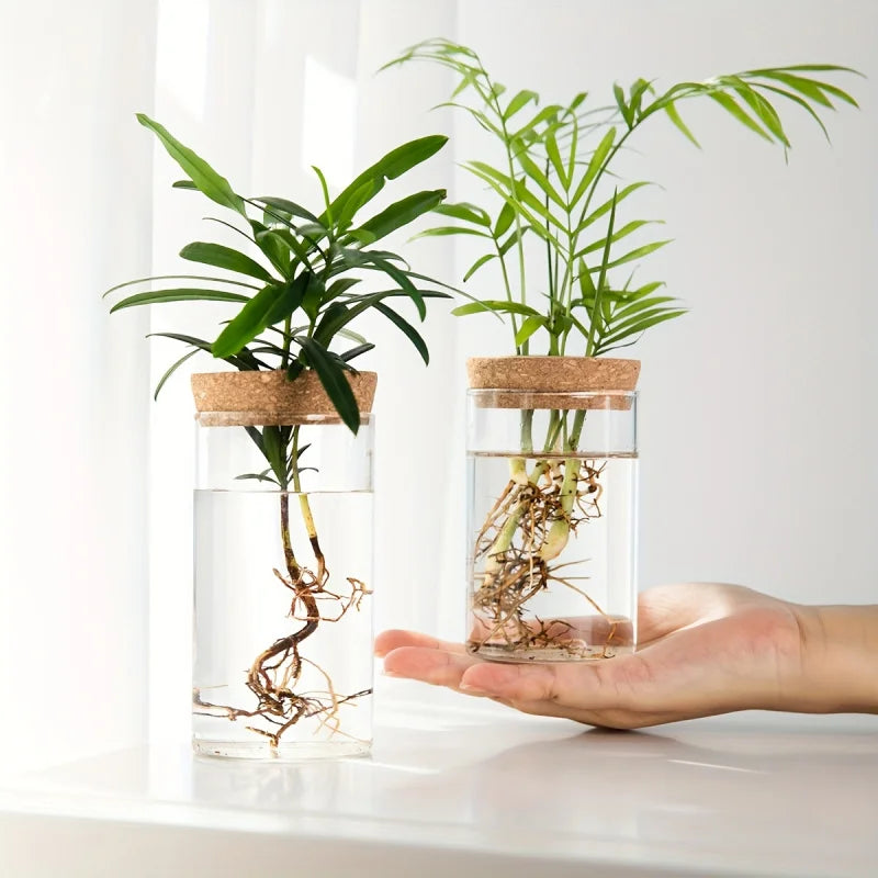 Desktop Glass Planter Vase