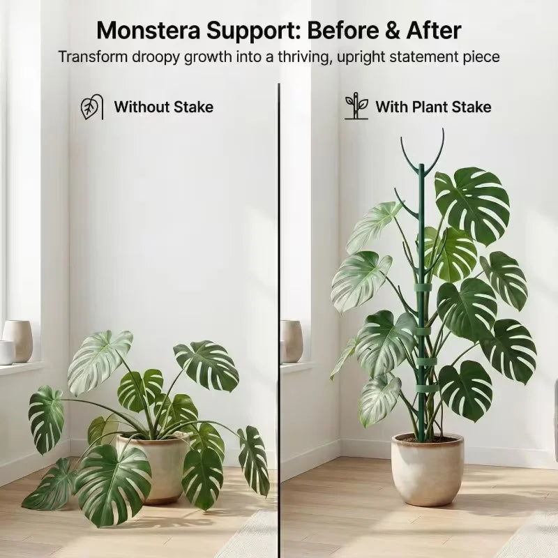 Monstera Plant Support Stakes – Stackable Climbing Poles for Indoor & Outdoor Plants, 1/2-Pack, Green