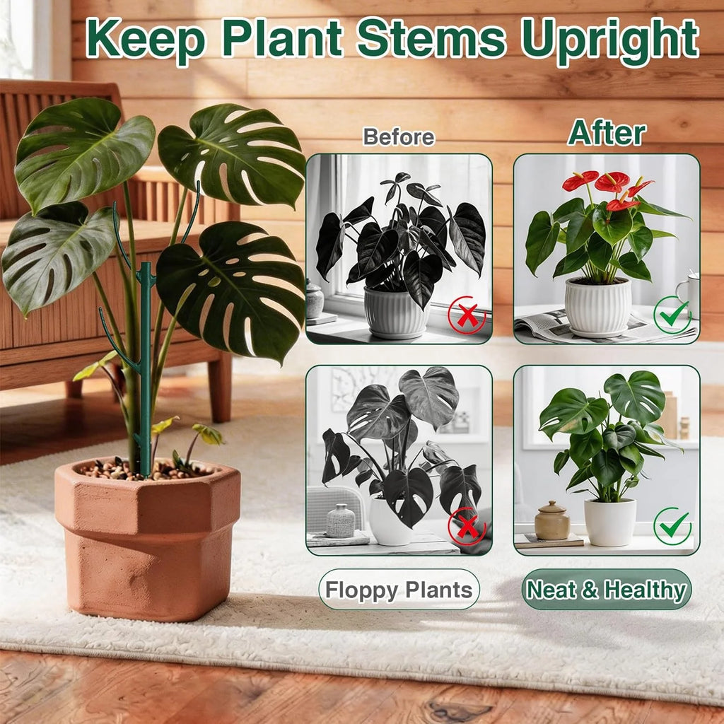 Monstera Plant Support Stakes – Stackable Climbing Poles for Indoor & Outdoor Plants, 1/2-Pack, Green