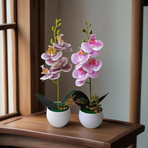 Artificial Orchid Potted