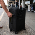 black / S elastic luggage cover in real-life use